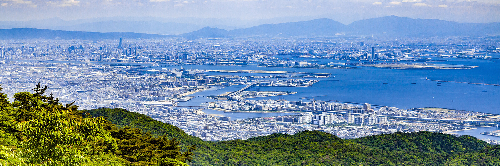 エリア